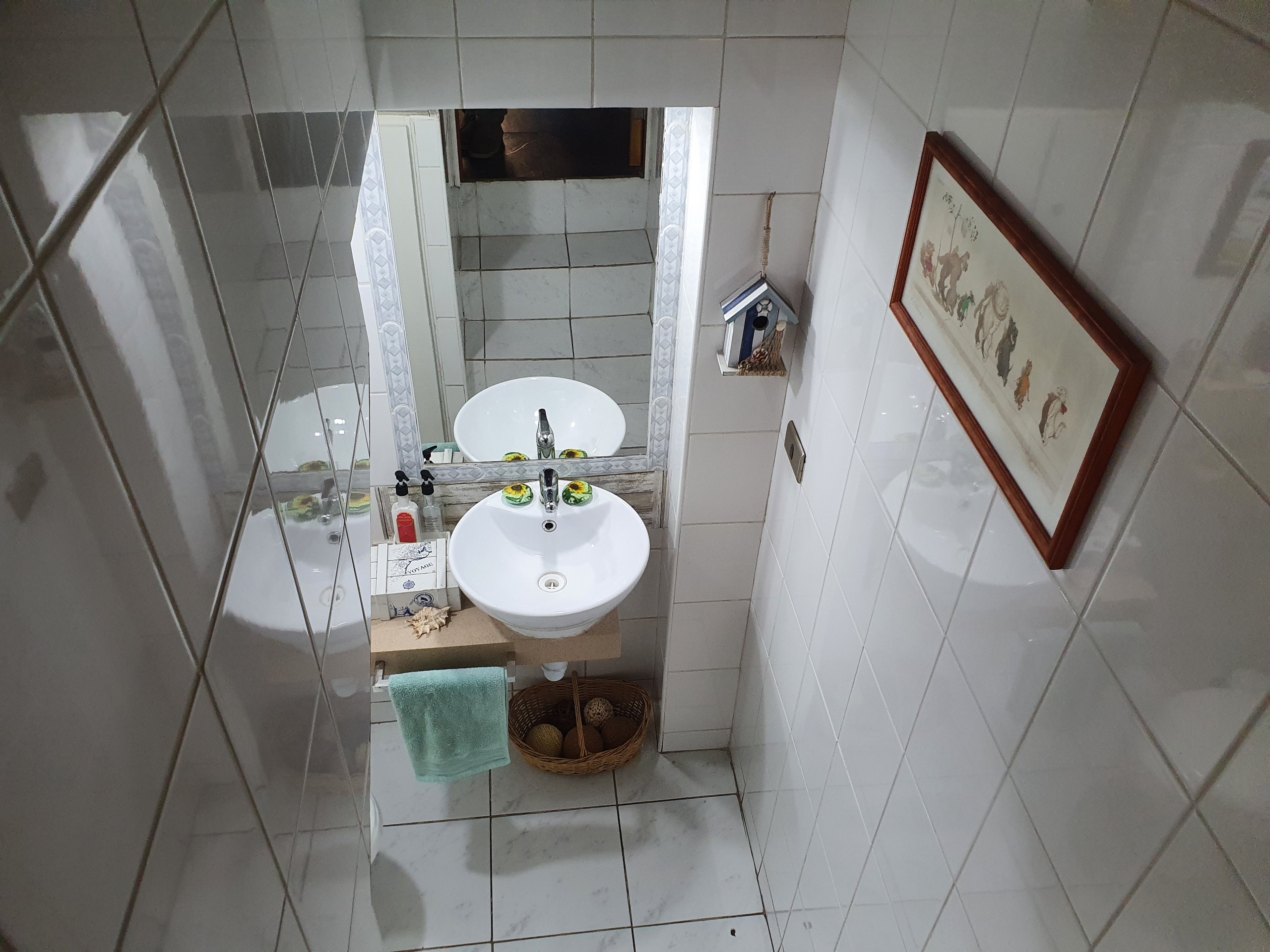 Baño visita